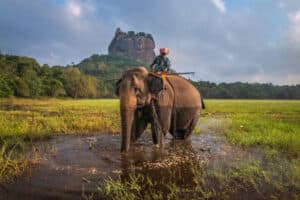 Why Sri Lanka Is The Best Country To Travel To During March 2026
